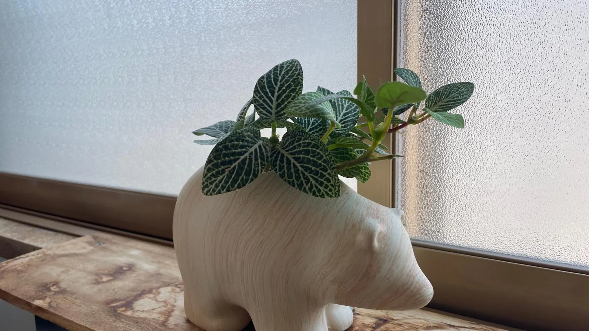 Bear Foot東町 Daire Yakumo